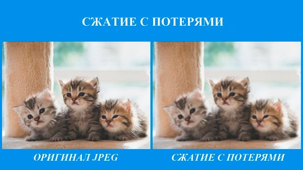 Разница между сжатой и не сжатой картинкой